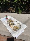 Magnoliaoysters.jpeg