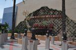 Hollywood Studios- Hall of Fame.JPG