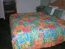Caribbean Beach Resort- Martinique- Rm 2308-1.JPG