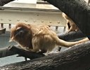 79F0DA5E-0D86-4CB4-A25E-E0652CEDD942.jpeg