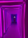 IMG_5734.jpeg