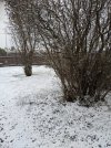 PXL_20220509_144007042.jpg