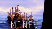 1652124296182.gif