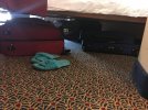 IMG_1929.jpg