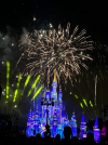 Last day - fireworks.PNG
