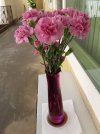 Birthday Flowers.jpg