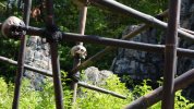 DSC05609.JPG