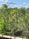 IMG_2022-5-14-062556.jpg
