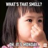 Reader's Digest | 35 Monday Memes to Start the Week Off Right