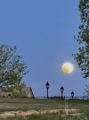 IMG_7611.jpeg