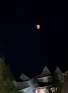 IMG_7646.jpeg