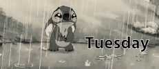 1652784108084.gif