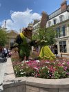 IMG_7722.JPEG