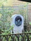 IMG_7829.JPEG