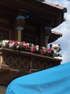 IMG_7908.JPEG