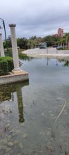 Water golf.jpg