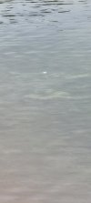 Underwater ball.jpg