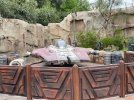 IMG_6919.jpeg