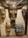IMG_7981.JPEG