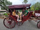 carriage 2.jpg