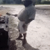 61357F02-CD56-4953-B34F-354EA58B75A4.gif
