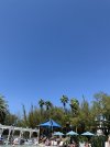 IMG_0350.jpeg