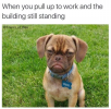 1653760878514.png