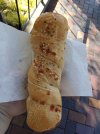 IMG_20220510_084042_747.jpg
