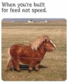 1653922647259.png