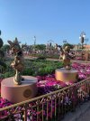 IMG_4735 (2).jpeg