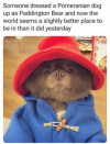 1653956384170.png