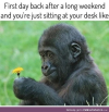 1653995996667.png