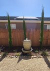 20220530_094859.jpg