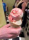 IMG_2241 v2.jpg