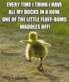 4ee040afc9b36c122d32cd2c1feccda7--animal-memes-animal-funnies.jpg