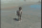 929EA716-7FD9-45E7-8776-5AEC16B6F303.gif