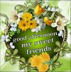 good afternoon.jpg