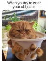 1654322062797.png