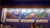DSC_0116.JPG