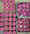 97B00848-079F-4CBE-963F-D52EFBD04A74.jpeg