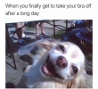 1654391905964.png