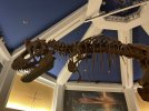 IMG_4331.jpeg