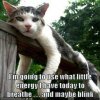 breathe and blink.jpg