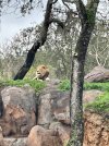 IMG_2022-6-4-193750.jpg