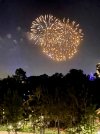 IMG_2022-6-5-132840.jpg