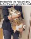 1654547388048.png