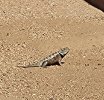 20220606_090941.jpg