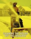 pollen.JPG