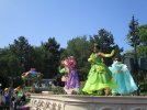 IMG_0462.jpg