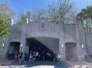 IMG_4452.jpeg